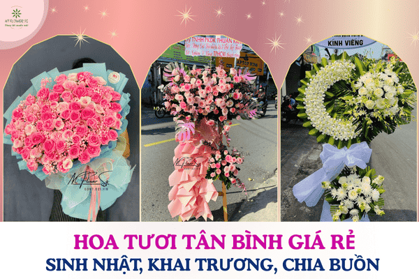 Hoa Tươi Tân Bình Giá Rẻ – Hoa Sinh Nhật, Hoa Khai Trương, Hoa Chia Buồn